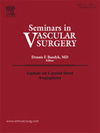 Seminars in Vascular Surgery杂志封面